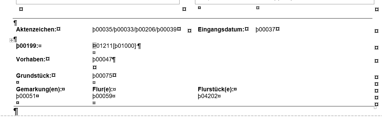 Beispiel von Fehlerquellen bei Platzhalter durch fehlerhaftes Platzhaltersymbol